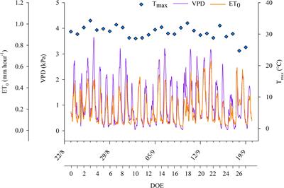 Spatio-temporal dynamics of root water uptake and identification of soil moisture thresholds for precision irrigation in a Mediterranean yellow-fleshed kiwifruit orchard